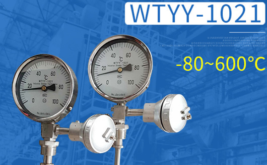 天康雙金屬溫度計(jì)WTYY-1021 天康雙金屬溫度計(jì)WTYY-1021
